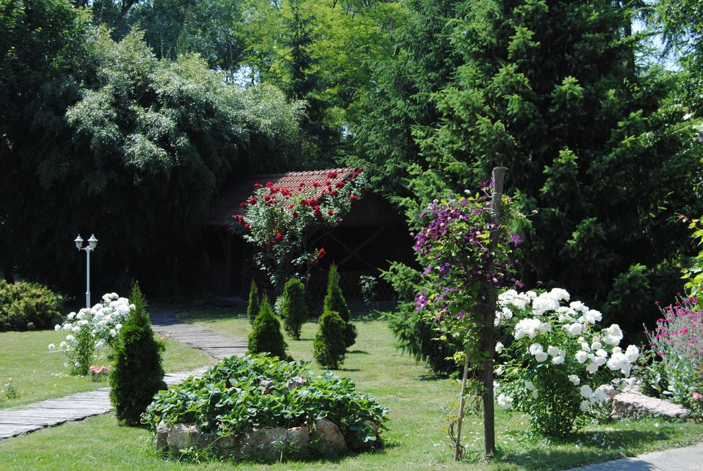 Villa Hedi Dunakiliti Exterior foto