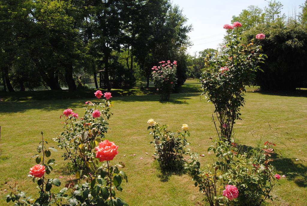 Villa Hedi Dunakiliti Exterior foto