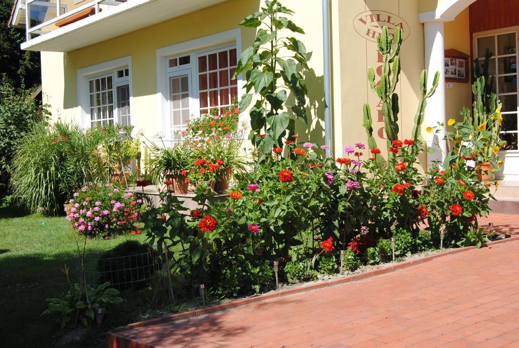 Villa Hedi Dunakiliti Exterior foto